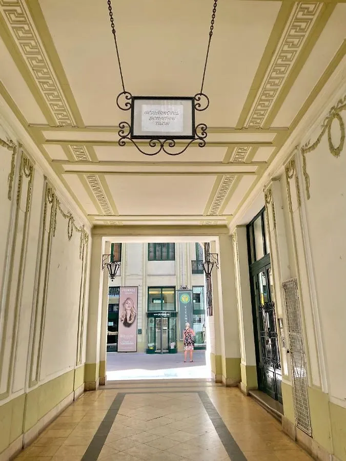 Friend Of Deak Ferenc Apartment Budapest